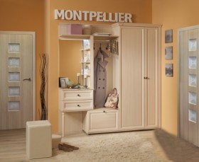 Шкаф для прихожей МЦН 2 Montpellier в Тюкалинске - tyukalinsk.katalogmebeli.com | фото 2